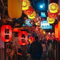 Oriental Paper Lanterns Collection with LED Lights