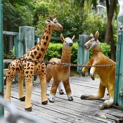 Jet Creations Inflatable Kangaroo Giraffe Alpaca3 Pack Safari Birthday Party Toy