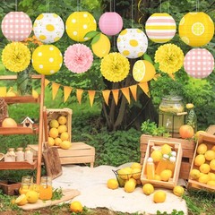 Renbuzhu 15PCS Summer Lemon Party Decorations Paper 8 inches, Yellow,blue