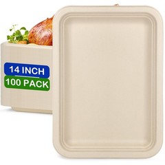 Large Paper Plates 14 Inch, 100 Pack Disposable Trays, Heavy Duty Dinner Size…