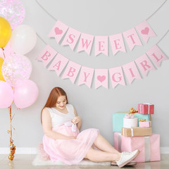 2 Pcs Pre Strung Pink Gingham Sweet Baby Girl Banner Pink Girl Baby Shower Banne