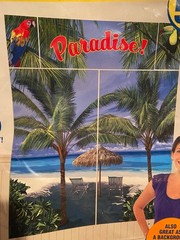 Beach/Palm Tree Wall Decorating Kit w/1 Palm Tree Centerpiece Open/Unused e2