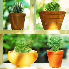 QUOZUO Green Succulent 1.4″ – 2.8″ in Width, 2.4″ – 5.1″ Length,