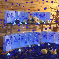 2051 Pcs Proposal Decorations Kit 15 Will You Marry Me Sign Luminary Paper Ba…