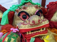 Chinese Dancing Lion | Two Person Lion Dance Costume – complete