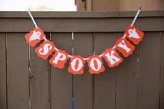 Halloween Party Banner Selections, Halloween Decorations, Halloween Party, USA