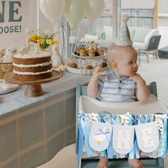One Silly Goose Highchair Banner