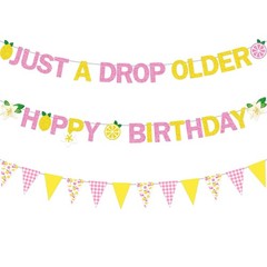 3PCS Lemon Party Decorations Lemonade Floral Happy Birthday Just A Drop Older…
