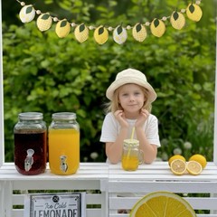 Lemon Felt Banner Garland Decor Vintage 3D Fruit Hanging Garland with Wooden …