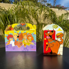 scooby doo GIFT Box decoration centerpiece favor party supplies display
