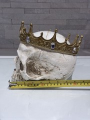 Crooked Crown Royalty Skull Skeleton Head Horror Halloween Ornament Decoration