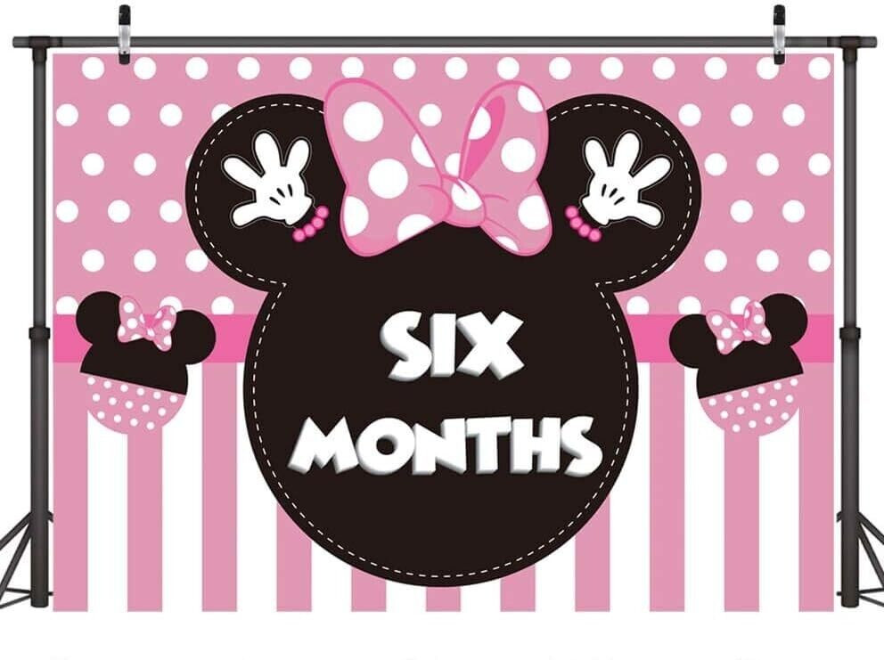 5×3 Ft. Minnie 6 Months Half Birthday Photography Backdrop Minnie Inspired