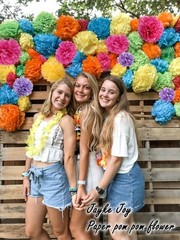 20 Pcs Multicolor Tissue Paper Pom Poms for Birthday Party Fiesta Decor