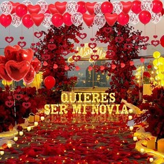 Quieres Ser Mi Novia Light Up Letters Proposal Decorations, 17Pcs 6.3″ Letter…