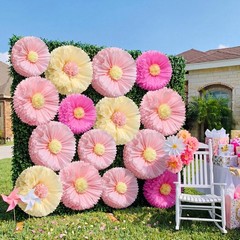 5 Pcs 30» 24» Pink Gaint Tissue Flowers for Wall Boho Large Hanging Tissue …