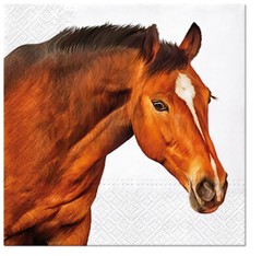 Lunch Napkins 20pcs HORSE Head Painting Equestrian Party Horse Napkins Deco