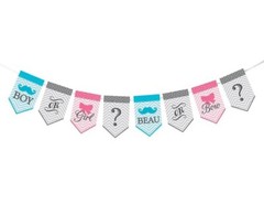 Gender Reveal Baby Shower 45″ Bunting Decoration Boy or Girl Beau or Bow