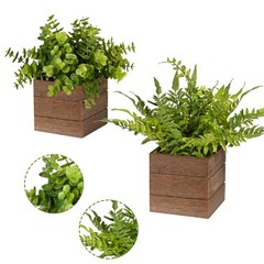 Vlorart Small Fake Plants, 2Pack Mini Potted Artificial Plastic Boxwood Fern