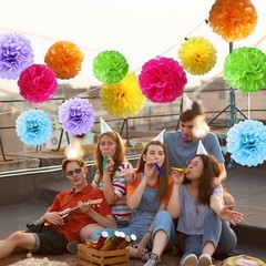 Rainbow Assorted Color Tissue Paper Flower Pom Poms Hanging Ball Decor