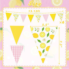 6PCS Lemon Party Decorations Pennant Banners Pink and Yellow Triangle Flags Garl