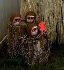 Set Of 3 Moana-Inspired Coconut Head Decor Props For Tropical Party/DIY Crafts