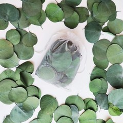 300+ Pcs Dried Real Eucalyptus Leaves Rustic Boho Wedding Table Decor 100% Natur