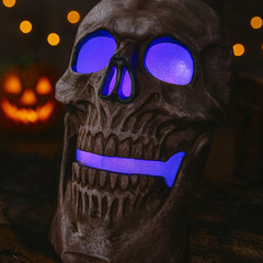 iN Halloween Spooky LED Skull – Colour Changing LED Lights – Spooky Sounds