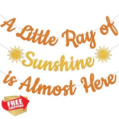 Yochamc Sunshine Baby Shower Banner