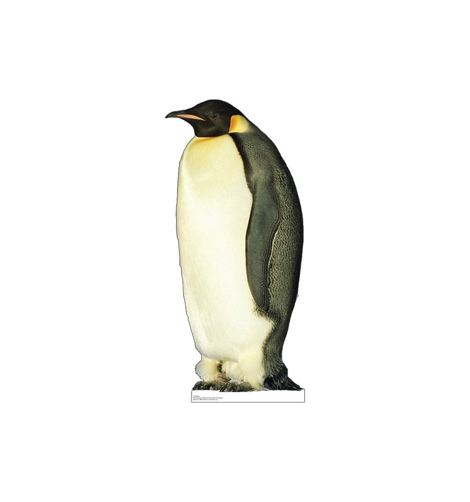 Cardboard People Penguin Life Size Cardboard Cutout Standup
