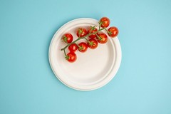 7” Compostable Plates, 125-Pack | Biodegradable Sugarcane | Sturdy, Microw