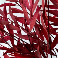 SNAIL GARDEN 41.3in/105cm Artificial Fall 1.9 x 11 x 15.3 inches, Dark Red