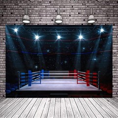 Stadium Lighting 3D Professional Banner Boxing Arena Photo Background Sports