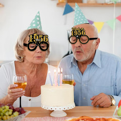 24Pcs 1956 70Th Birthday Paper Glasses Decorations for Men Women – Black Gold Ha