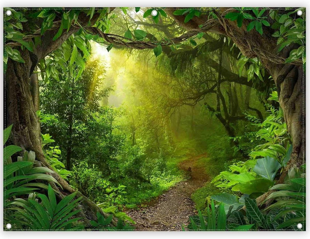8x6ft Jungle Forest Photography Backdrop Tropical Rainforest Natural Scenery