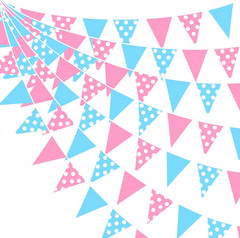 32Ft Gender Reveal Party Decorations Pink and Blue Circle Dot Pennant Triangle B