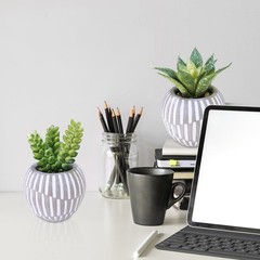 Winlyn Set of 3 Artificial Succulents Plants in Mini Gray and White Pots