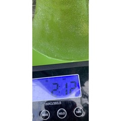 Lime Green Metal Tree Branches Display Money Gift Cards Ornaments Scrooge