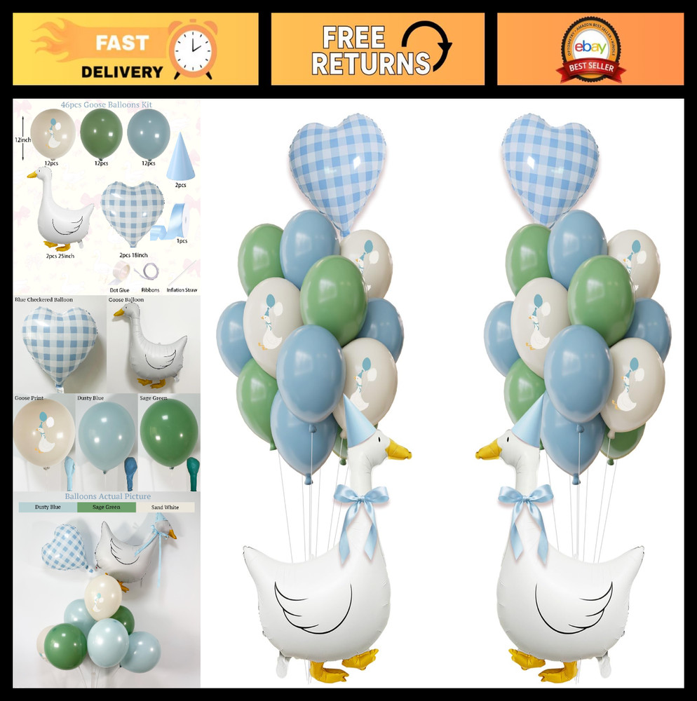 Silly Goose Birthday Decorations for Boys – Blue Balloons, Hats & Bow, 1st Party