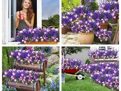 Solar Garden Lights Outdoor, 4 Pack Purple Lavender Solar Butterfly Lights Ga…