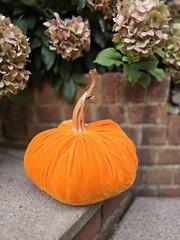 Forest Green Silk Velvet X-LARGE Pumpkin Rustic Farmhouse Wedding…