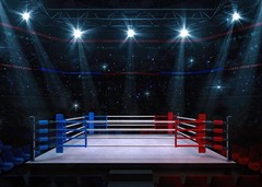 Stadium Lighting 3D Professional Banner Boxing Arena Photo Background Sports
