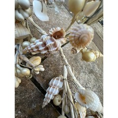 Seashell garlands Coastal Shell wire decor nautical natural marine beach ocean 2