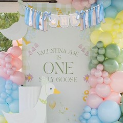 Goose ONE High Chair Banner for 1st Birthday – Blue Gingham Fabric Tassel Bun…