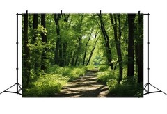 Forest Tree Tropical Rainforest Jungle Backdrop Party Photo Background Banner