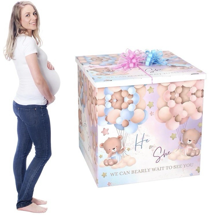 Bear Balloon Print Gender Reveal Party Backdrop Box ‘He or She’ Multicolor Paper