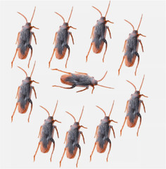 10Pcs Fake Roaches Realistic Plastic Roach Bugs Fake Cockroaches Insect USA