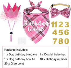 Luxurious Dog Birthday Crown Set – Hat, Bow Tie & Bandana Costume for Large Dogs