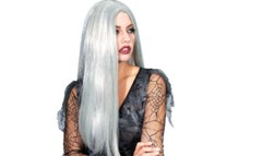 Old Witch Long Grey Wig Halloween Fancy Dress Theme