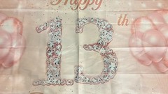 Happy 13th Birthday Pink & White Party Backdrop Banner Plastic Decoration