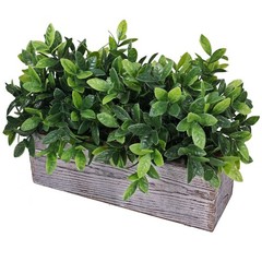 Winlyn Artificial Eucalyptus Plant in Rustic 8.6″ x 11.4″ x 3.7″, Green